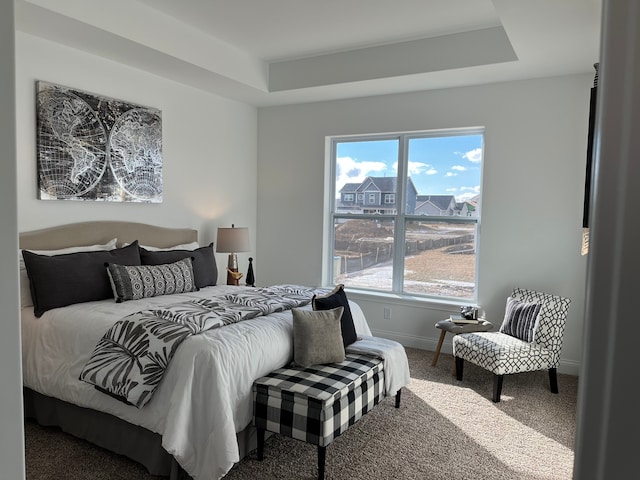 carpeted bedroom featuring a raised ceiling