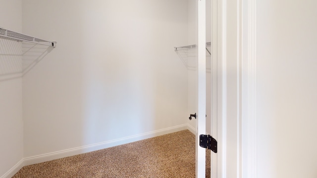 spacious closet with light carpet