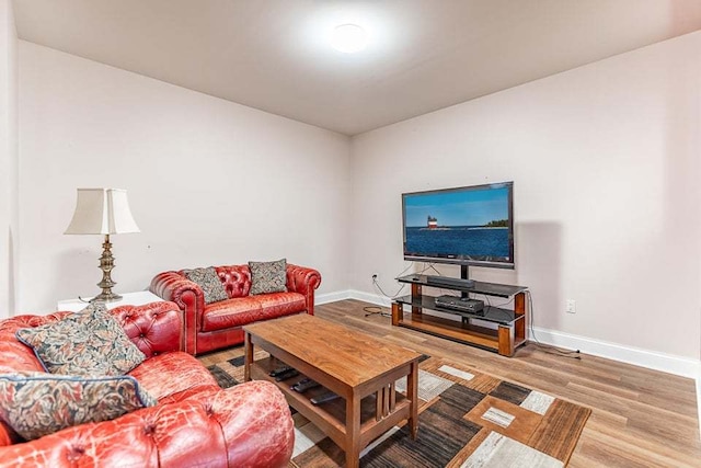 living room with wood-type flooring