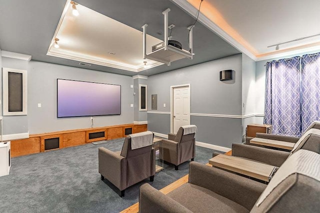 cinema room with a tray ceiling and dark colored carpet