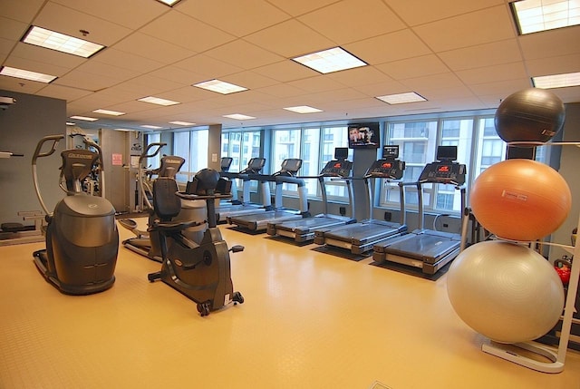 workout area with a paneled ceiling, expansive windows, and a healthy amount of sunlight