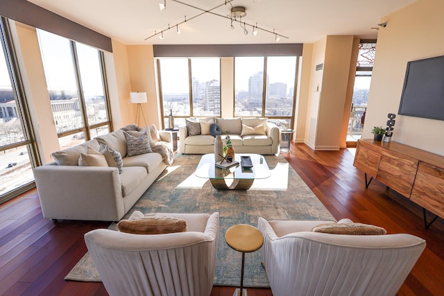 living area featuring dark wood-style floors, rail lighting, and plenty of natural light