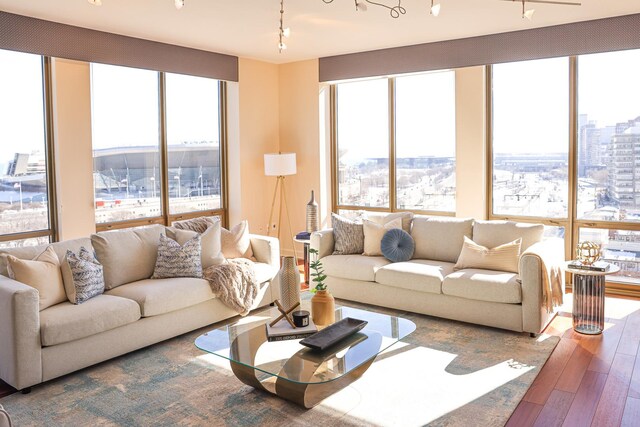 empty room with expansive windows, light hardwood / wood-style flooring, plenty of natural light, and rail lighting