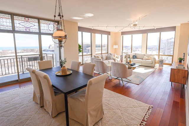 dining area featuring rail lighting, a wall of windows, and wood finished floors