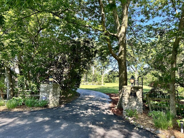 view of street with aphalt driveway