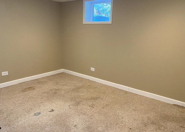 basement featuring carpet floors