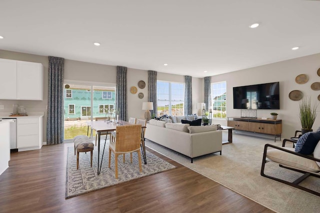 living room with wood-type flooring