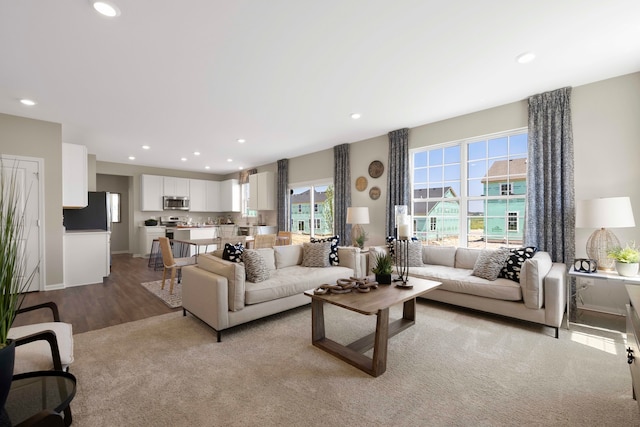 living room featuring light hardwood / wood-style flooring