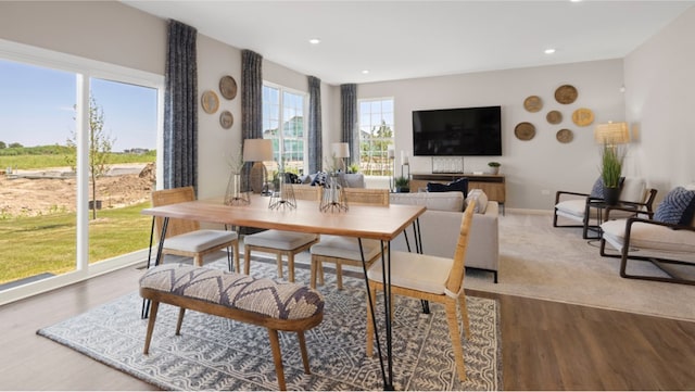 dining space featuring hardwood / wood-style floors