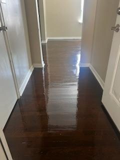 corridor with dark hardwood / wood-style floors