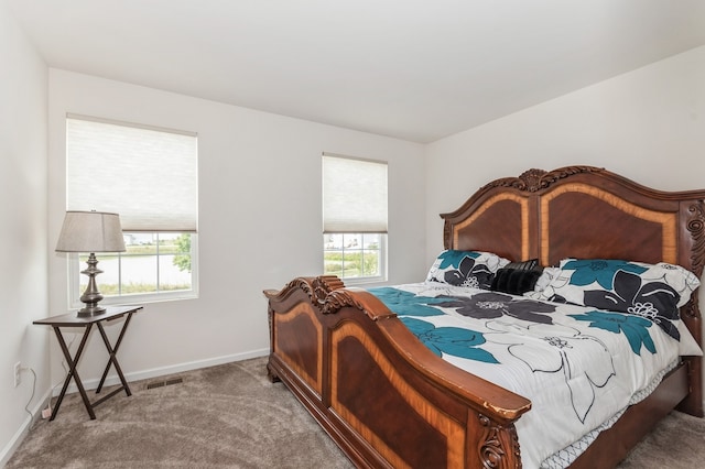 bedroom featuring multiple windows and carpet flooring