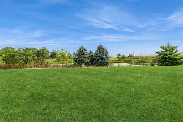 view of yard featuring a rural view