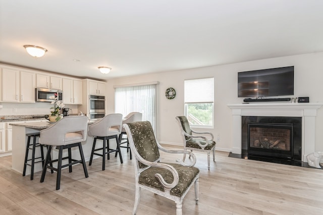 living room featuring light hardwood / wood-style flooring