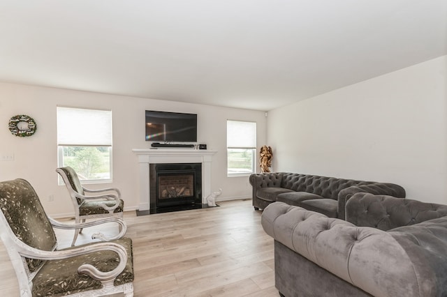 living room featuring light hardwood / wood-style floors