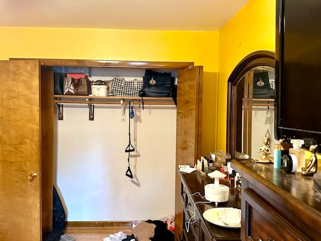 interior space with vanity and wood-type flooring