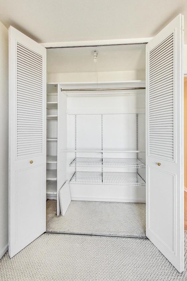 view of closet