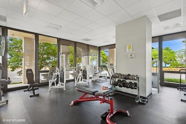 exercise room with a paneled ceiling, plenty of natural light, and expansive windows