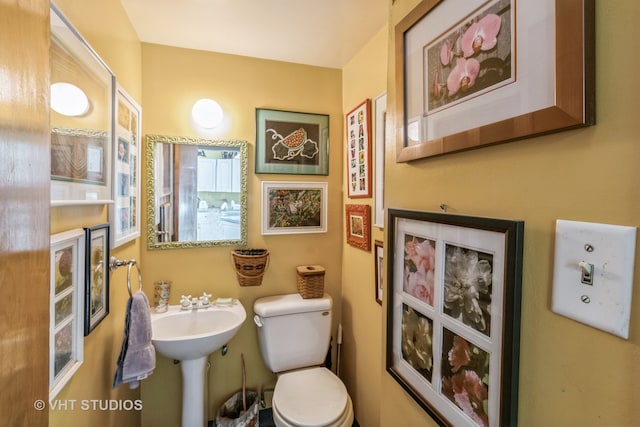 bathroom featuring toilet