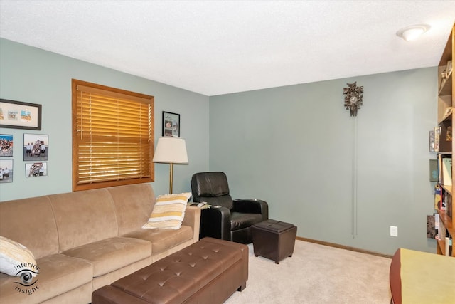 living room featuring a textured ceiling and carpet