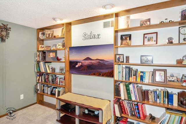 misc room with carpet floors and a textured ceiling