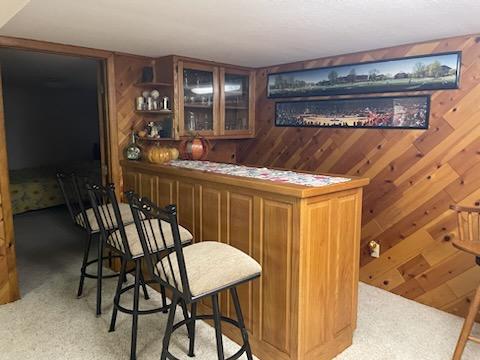 bar featuring light colored carpet and wooden walls