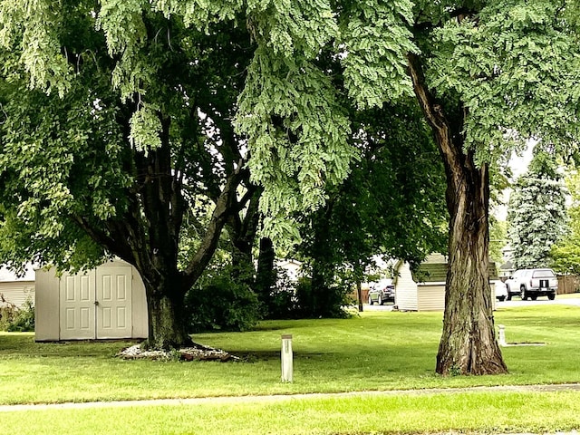 view of yard featuring a shed