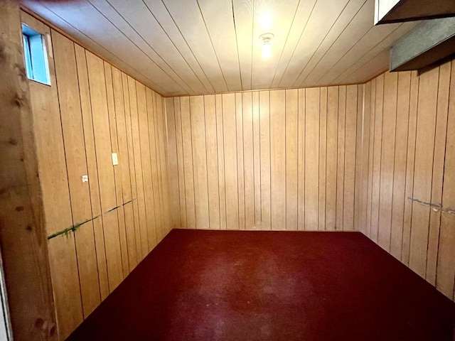 basement featuring wood ceiling and wooden walls