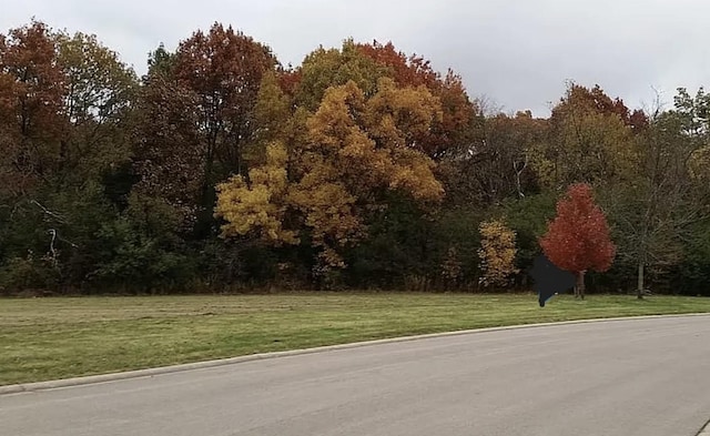 11205 Morning Dove Ln, Spring Grove, IL 60081