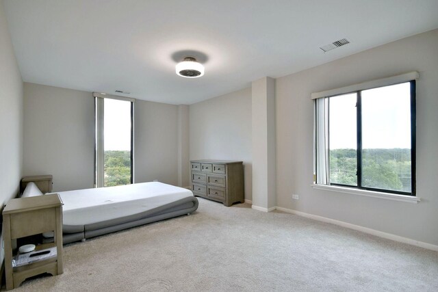 carpeted bedroom with multiple windows