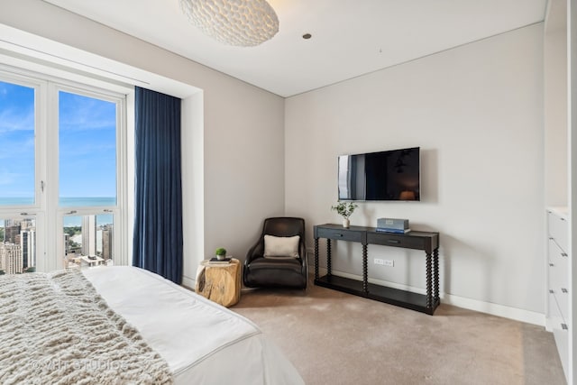 carpeted bedroom with a water view