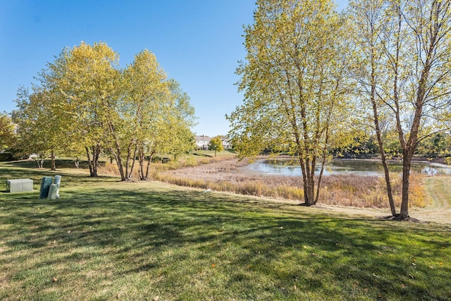 34W685 Roosevelt Ave Unit A, Saint Charles, IL 60174 - view of grassy yard featuring a water view