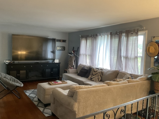 living room with wood-type flooring