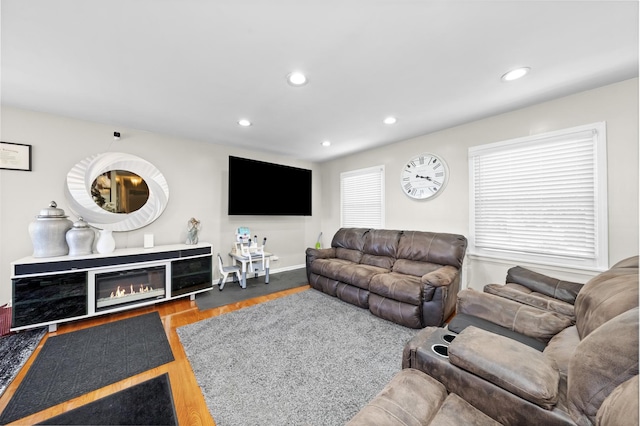 living room featuring hardwood / wood-style floors