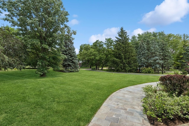 view of property's community featuring a lawn