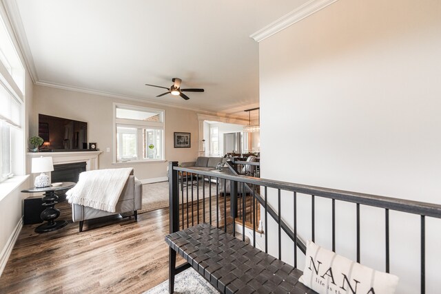 interior space with wood-type flooring and crown molding