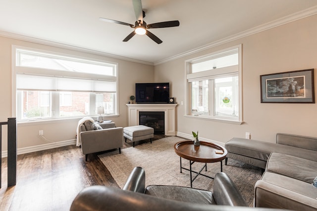 living room with crown molding, hardwood / wood-style floors, and ceiling fan