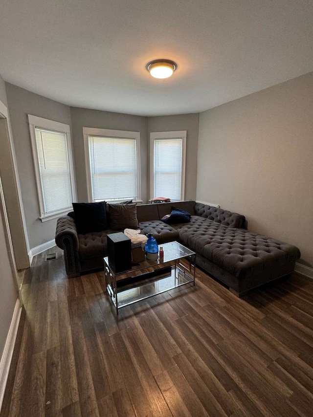 living room with dark hardwood / wood-style floors