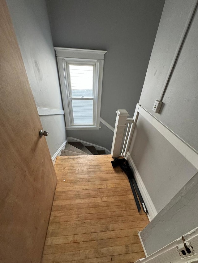 stairs with hardwood / wood-style floors