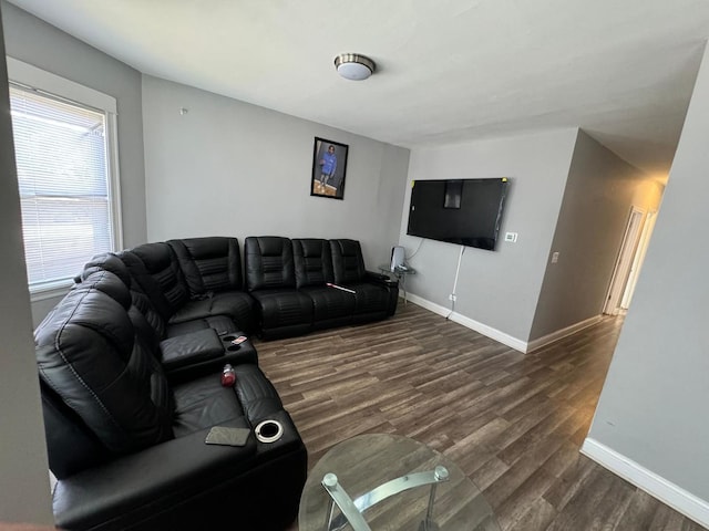 living room with dark hardwood / wood-style flooring