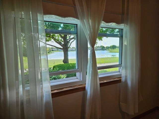 21144 W Buckeye Ct, Plainfield, IL 60544 - entryway with a water view and healthy amount of natural light