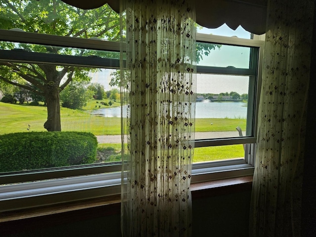 21144 W Buckeye Ct, Plainfield, IL 60544 - detailed view of nearby water