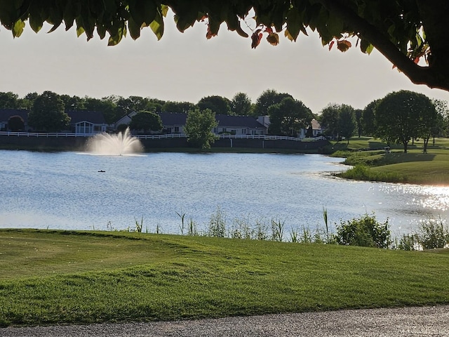 21144 W Buckeye Ct, Plainfield, IL 60544 - water view