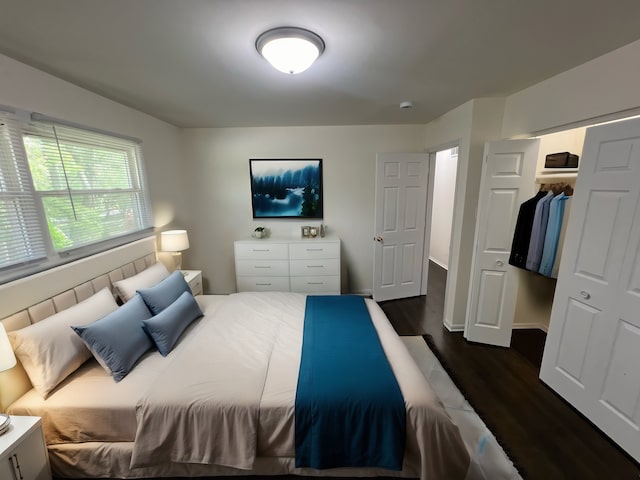 bedroom with dark hardwood / wood-style flooring and a closet