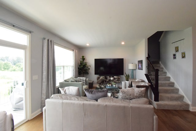 living room with wood-type flooring and a healthy amount of sunlight