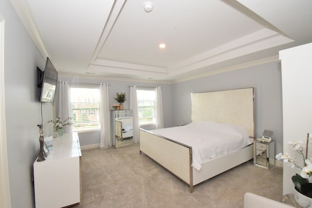 carpeted bedroom featuring a raised ceiling