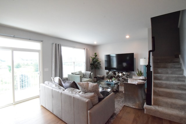 living room with hardwood / wood-style floors and plenty of natural light