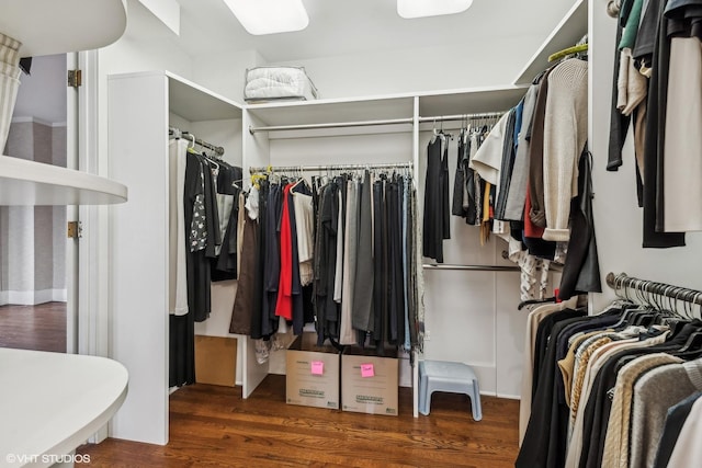 walk in closet featuring dark hardwood / wood-style floors