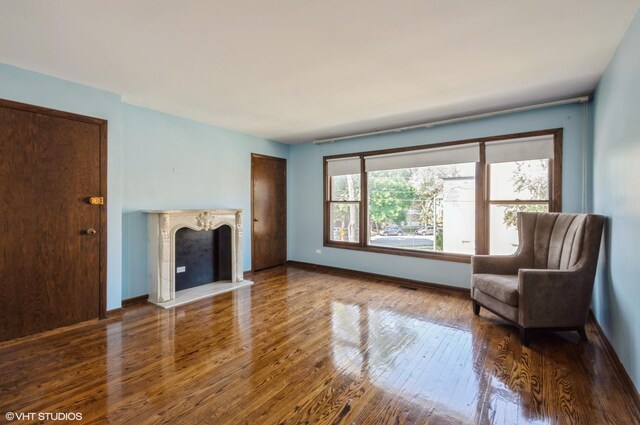 interior space featuring hardwood / wood-style floors and a premium fireplace