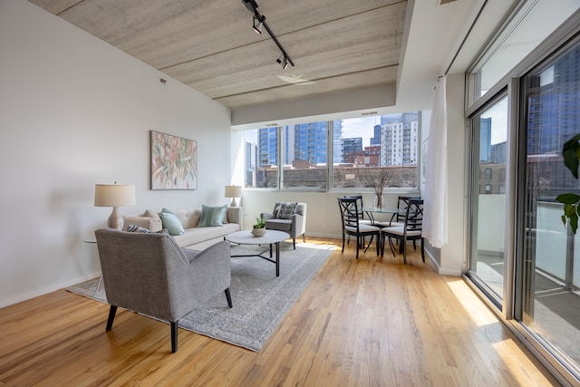 living room with light hardwood / wood-style flooring and rail lighting