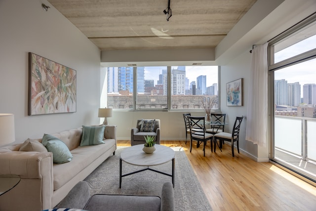 living room featuring light hardwood / wood-style floors